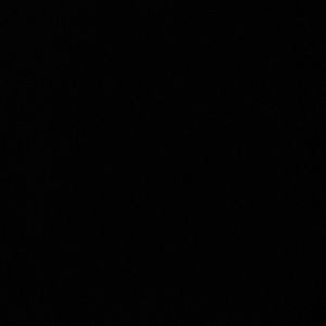 Meet your Posher, Paloma